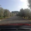 2019_10_18-19-20_3°Tour_in_Toscana-486a