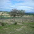 2012_04_22_i_azienda_vinicola_il_fitto-454