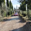 2021_10_8-9-10_5°Tour_in_Toscana-295